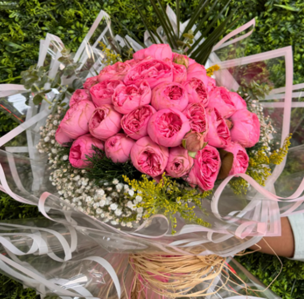 pembe demet2